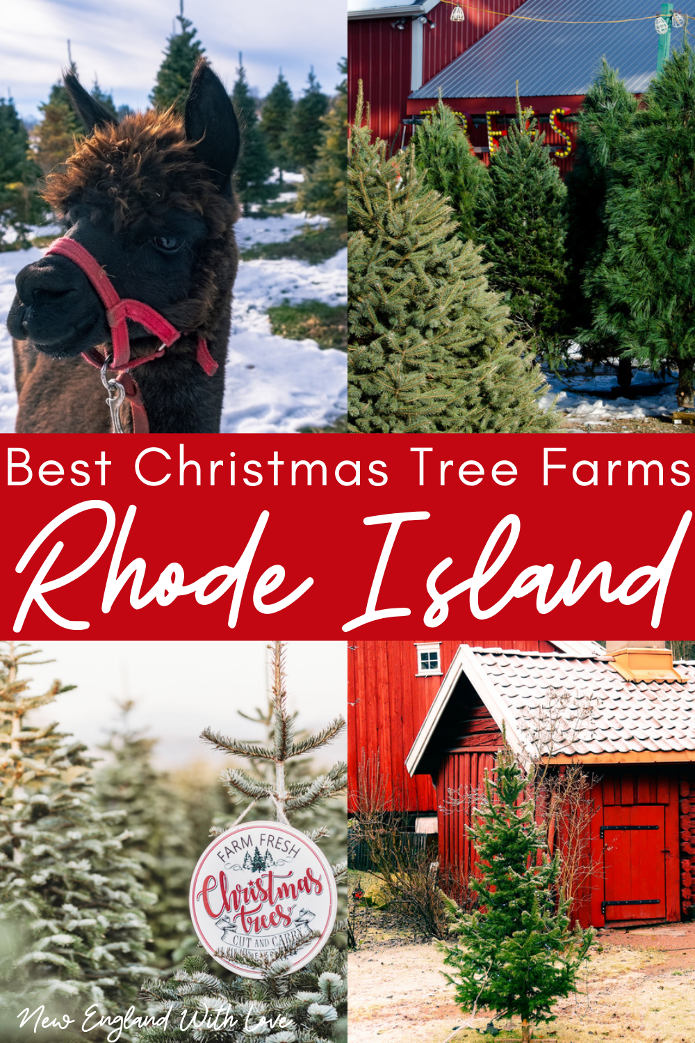 Social image created for Pinterest that says, "Best Christmas Tree Farms in Rhode Island."