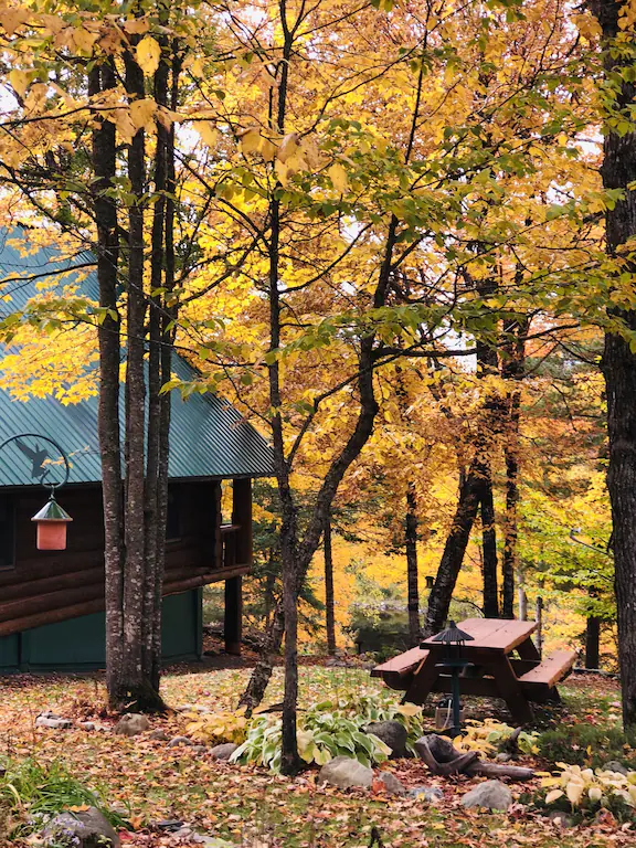 A picnic table outside of a wooden building in the woods