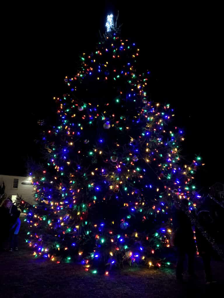 Holiday tree lit up in the dark with miscellaneous colored lights.
