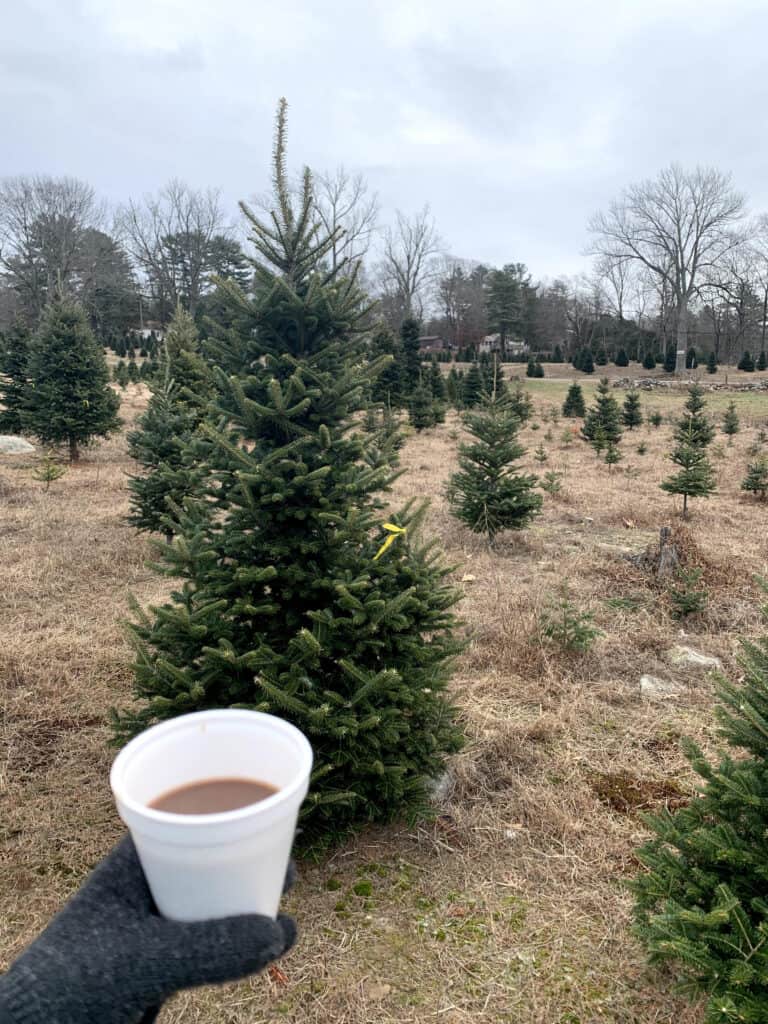 Hot chocolate in a white styrofoam cup in the foreground. The background is a Christmas tree farm under a cloudy sky.