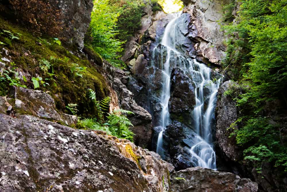 Water cascades down rocks in a wet forest.