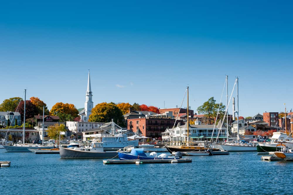 Several boats docked in a body of water