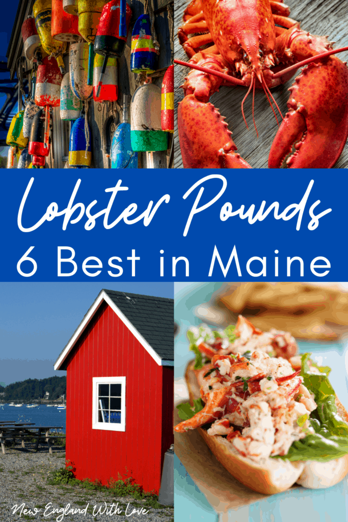 MustVisit Lobster Pounds in Maine (+ Fry Shacks) 2024 New England