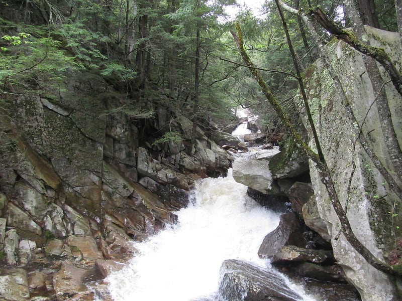 Waterfall on rocks through a forest.