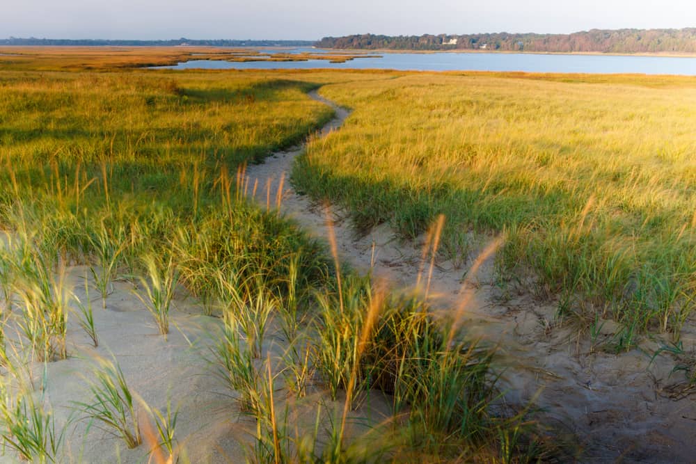 A Massachusetts beach stretches out with grassy dunes that meet the Atlantic Ocean 
