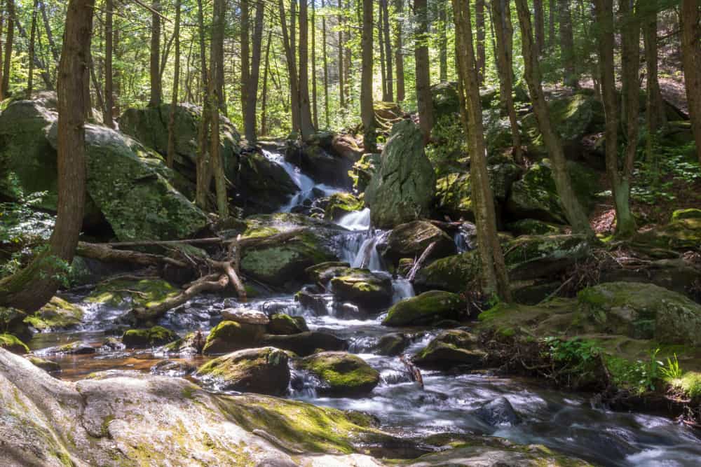 A Connecticut waterfall cascades down rocks in a forest surrounded by greenery.