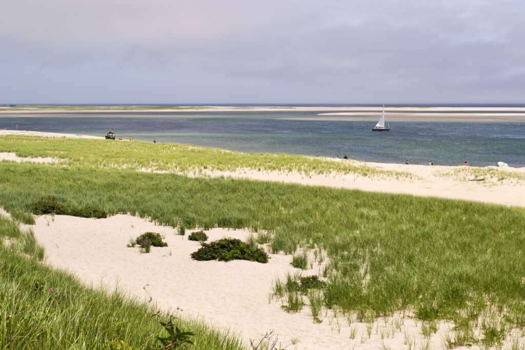 Sandy coast with greenery growing on it. A sailboat is floating on the water in the distance.