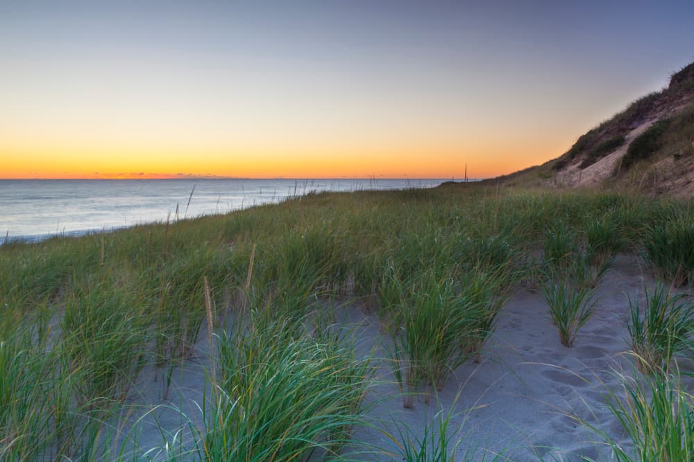 A beach in Massachusetts is seen with grassy dunes on one side and a clear water beach on the other and a soft orange sunset overhead