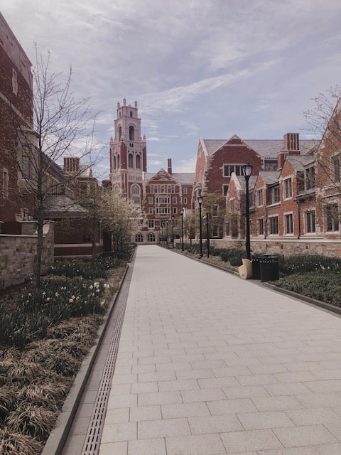 A sidewalk with many buildings on each side on historic Yale campus
