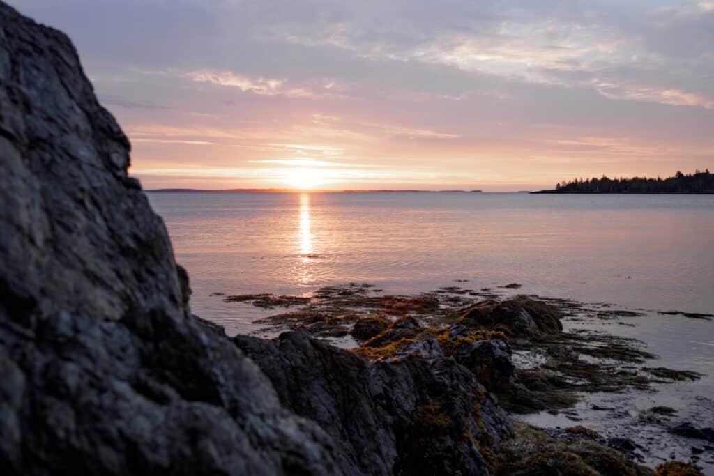 The sun rises and creates a purple glow over the rocky coast.