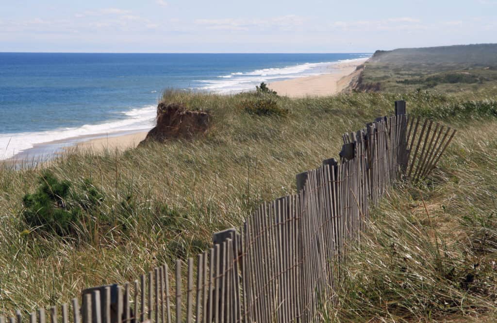 A windswept grassy dune beach is seen with a wooden beach fence holding the dune back by the deep blue sea under light blue skies 