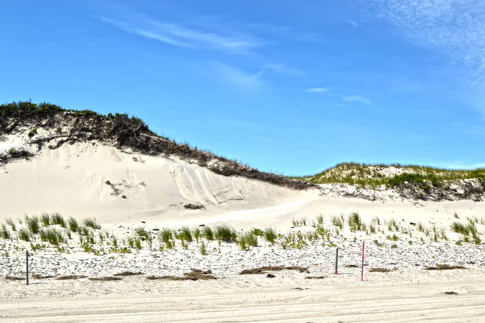 Giant sand dunes next to the coast with greenery on it under a bright blue sky.