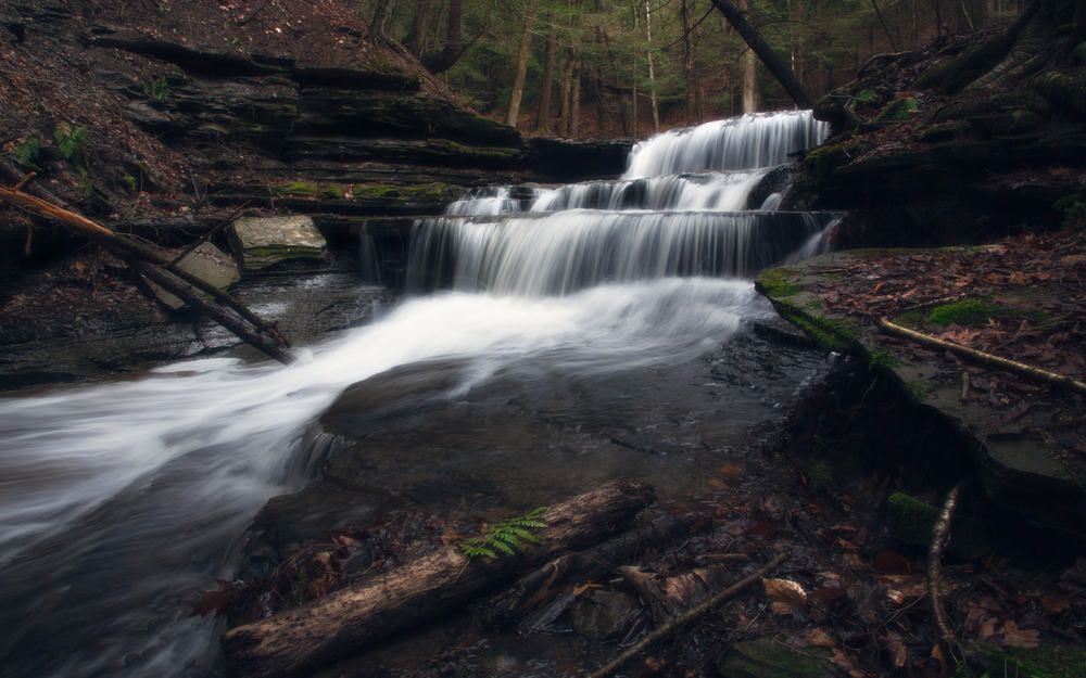 Waterfall with three layers going into a pond in a dark, moody forest.