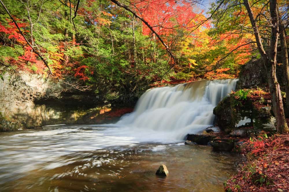 In a forest with fall colors, a wide Connecticut waterfall falls into the river.