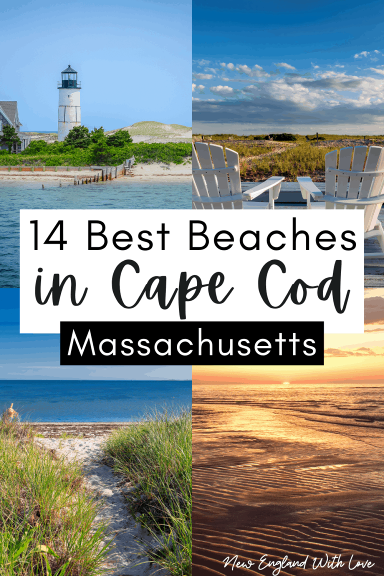 21 Best Beaches on Cape Cod for Your 2023 Beach Bucket List | New ...