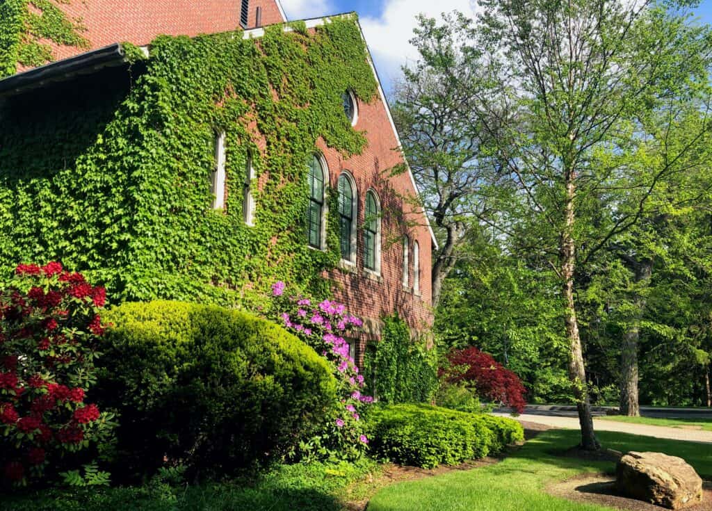 An ivy covered building