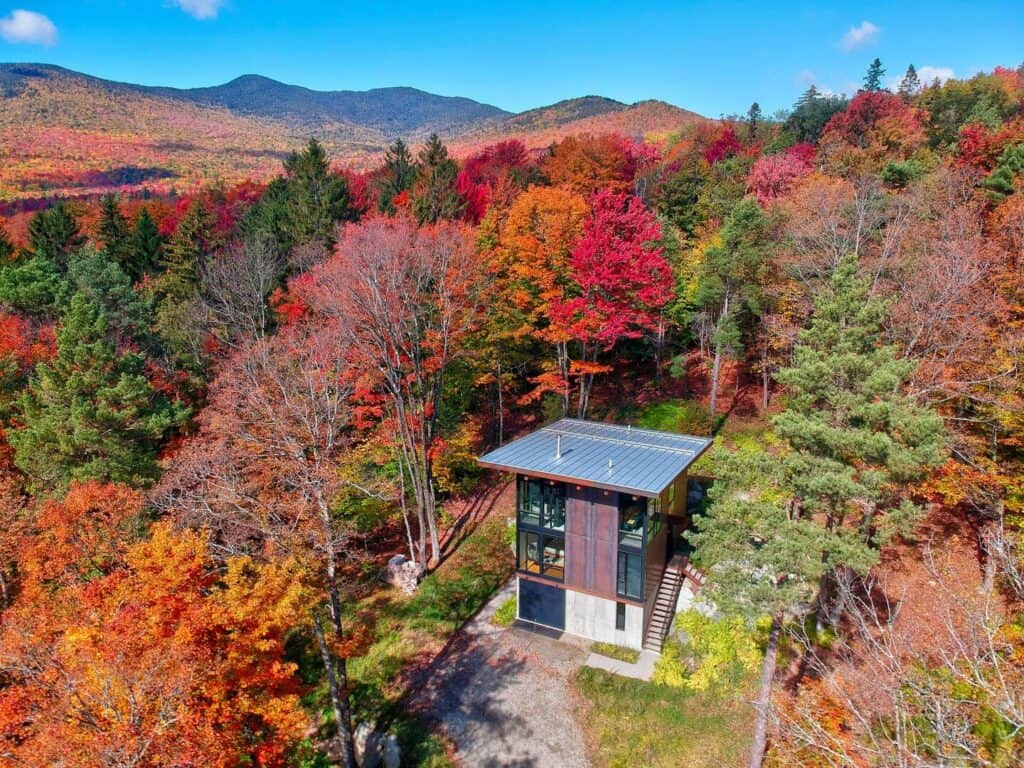 Aerial view of treehouse in the middle of fall trees