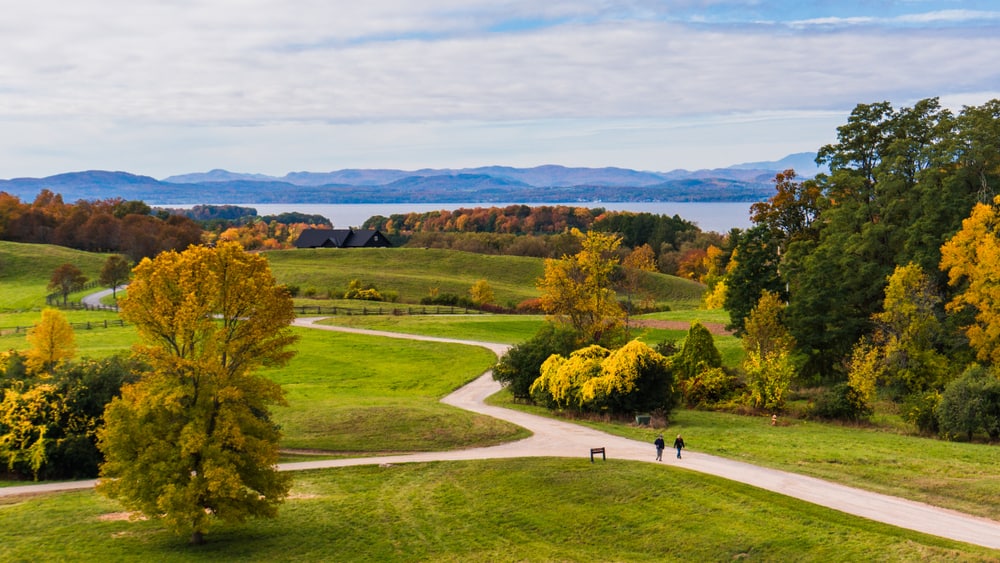 A view of a lush green hillside with a lake in the distance