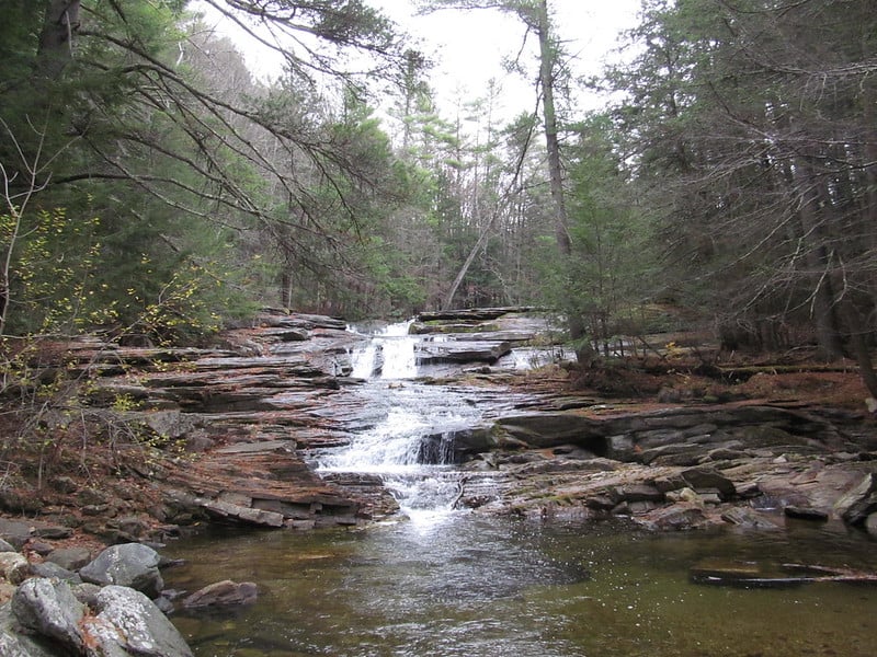 Serene small waterfall trickling down rocks into a pool of water under a grey sky surrounded by a forest.