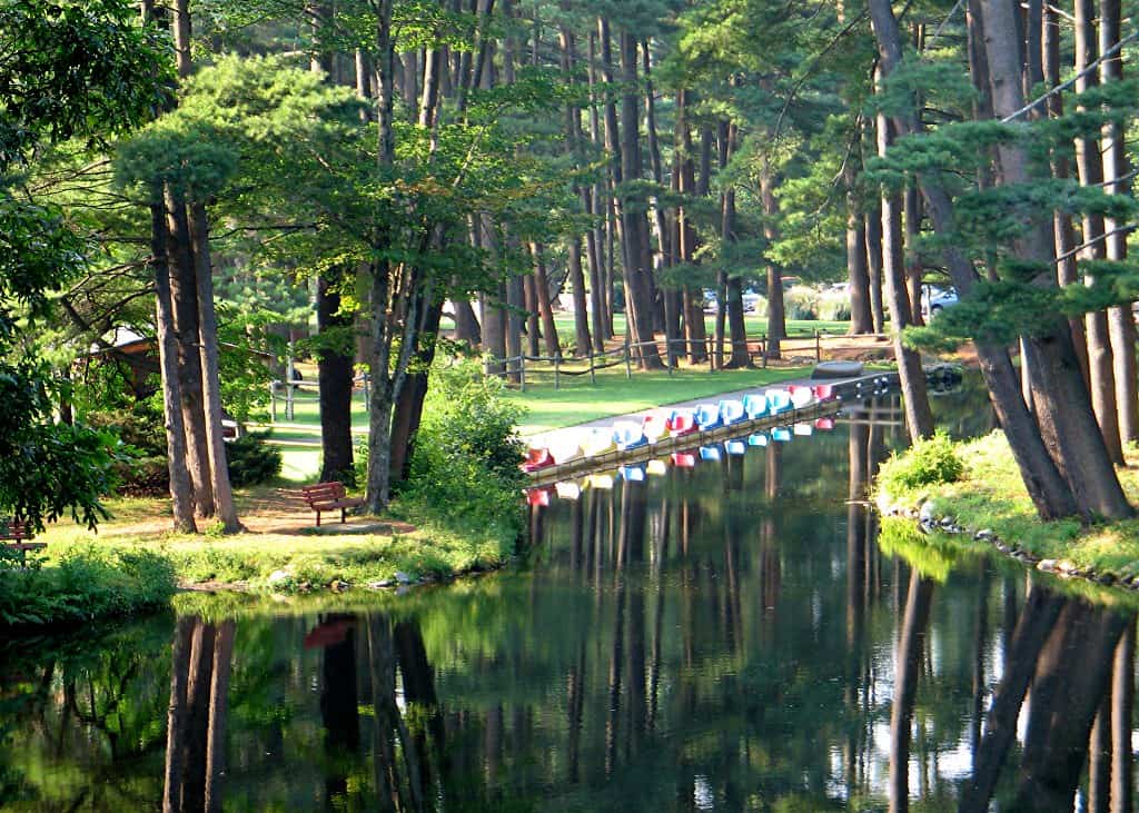 Boats are lined up along the shore of a lake surrounded by forests.