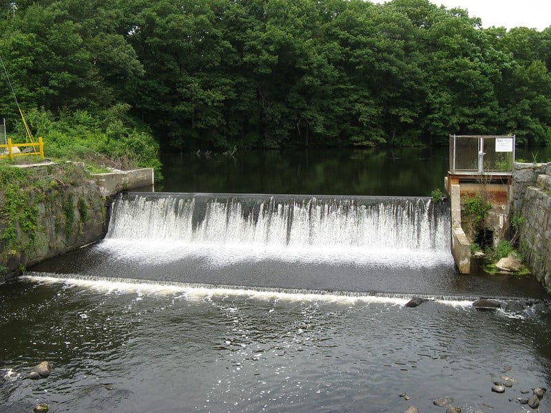 Waterfall surrounded by green tree forest.