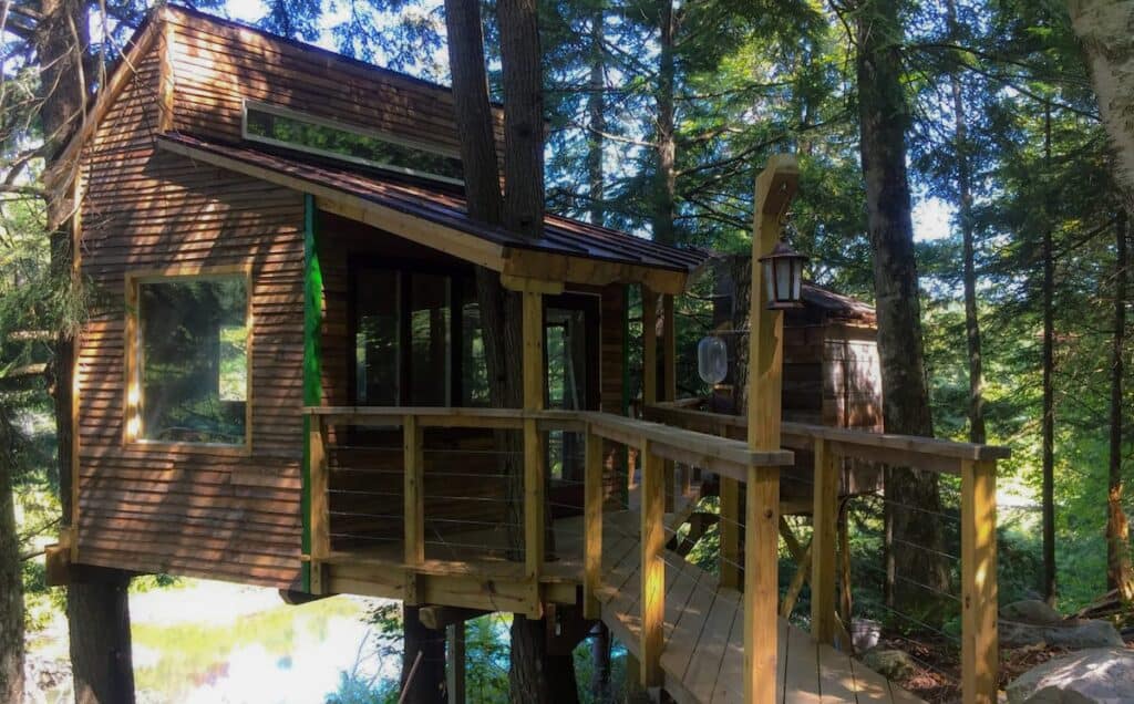 A wooden path leading to a treehouse