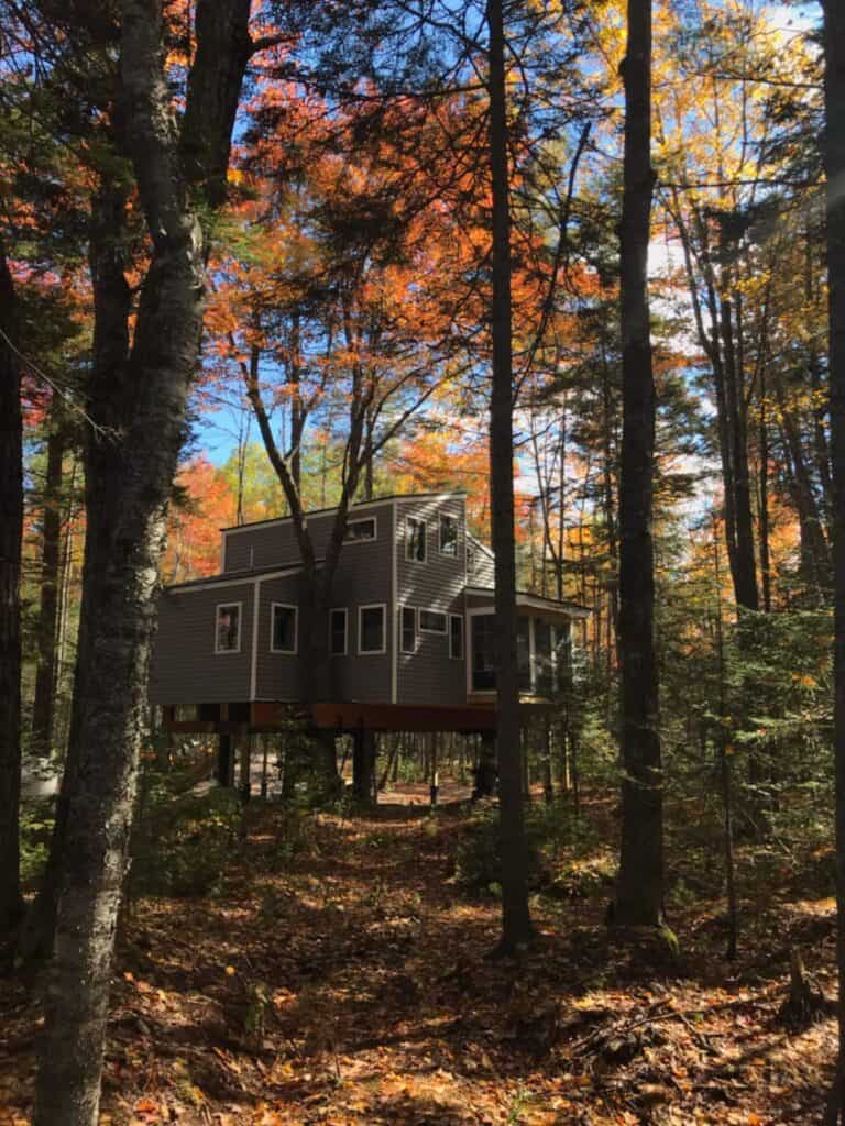 A house on stilts in the middle of the woods