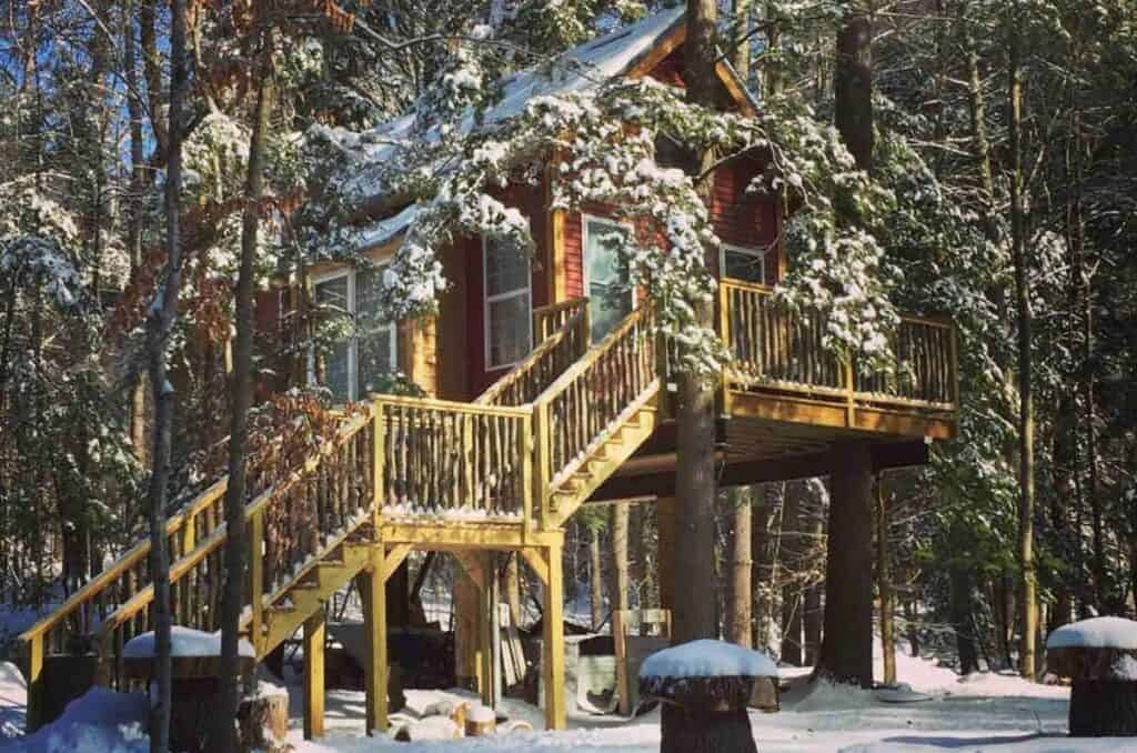 Steps leading up to a treehouse in a snowy woods