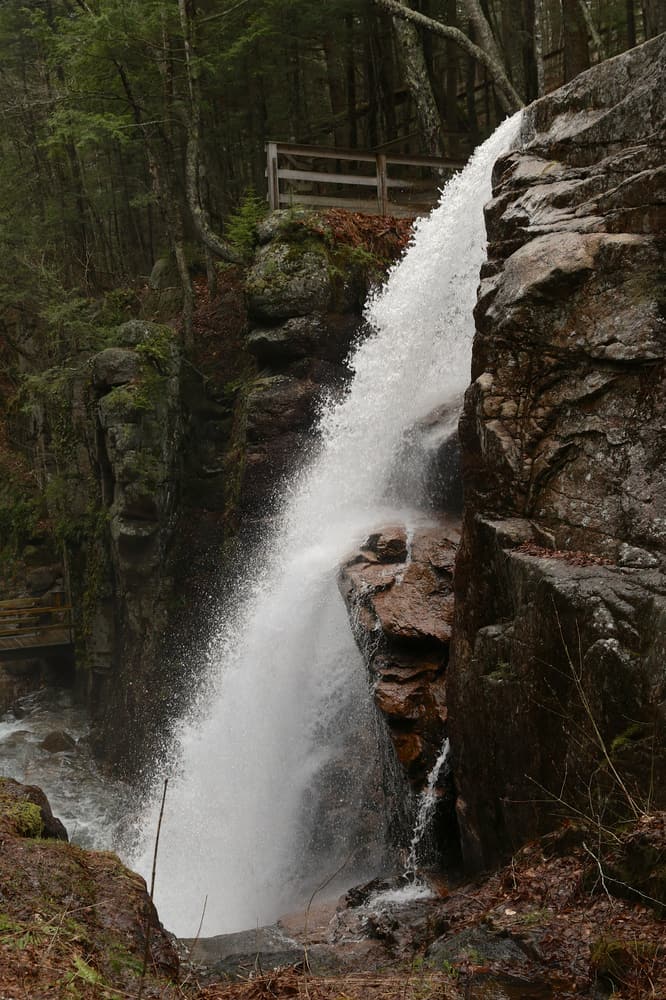 Water pouring over a rocky cliff face surrounded by dark trees and algae.