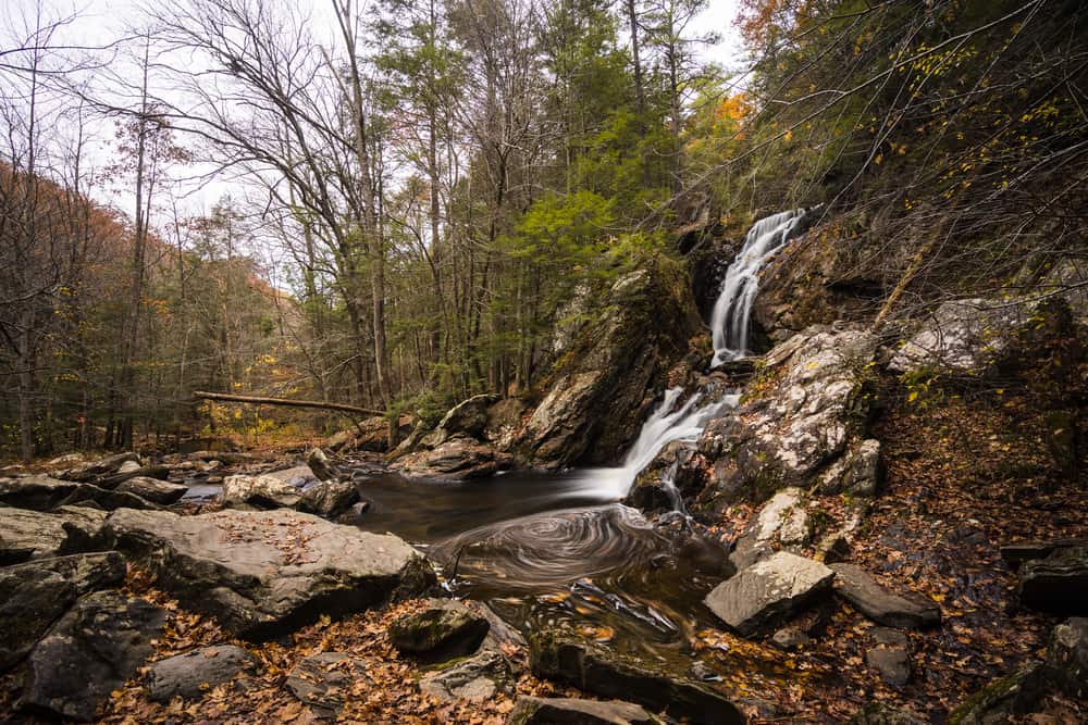 Waterfall cascading down rocks into a small body of water surrounded by trees and dead leaves. 