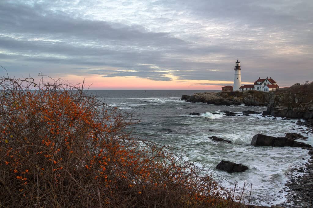 The foreground features dead greenery. The background has one of the most popular Portland Maine lighthouses on a rocky edge by the water under a sun setting.
