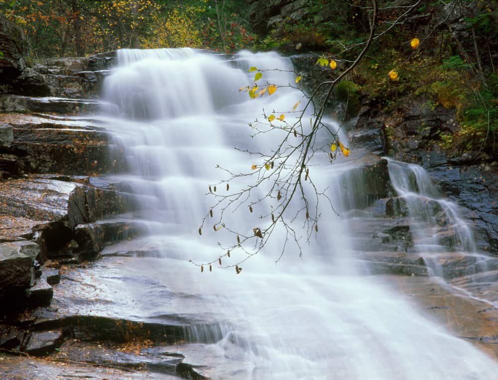 Waterfall cascading down rocks in a moody setting surrounded by dark trees.