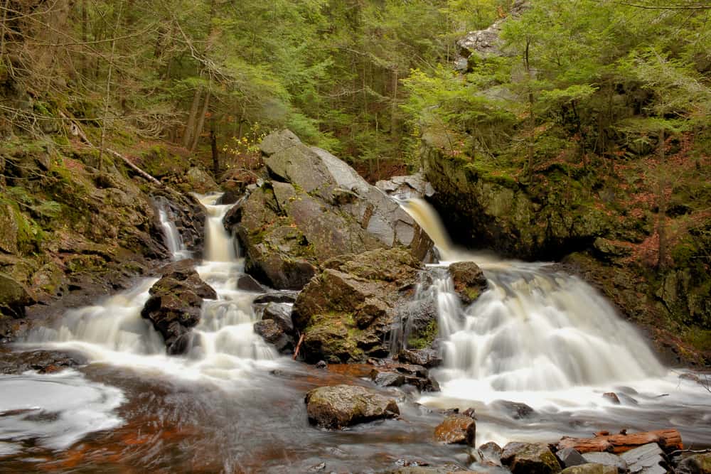 Two waterfalls cascading down dark rocks into a pool of water, surrounded by lush greenery.