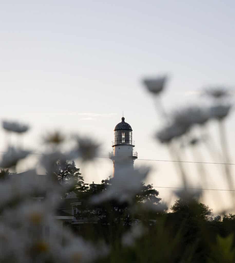 The foreground features blurred out flowers. The distance has a clear image of Cape Elizabeth lighthouse near Portland, Maine under a blue hour sky.