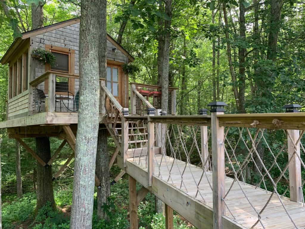 A walkway leading to a treehouse in the woods