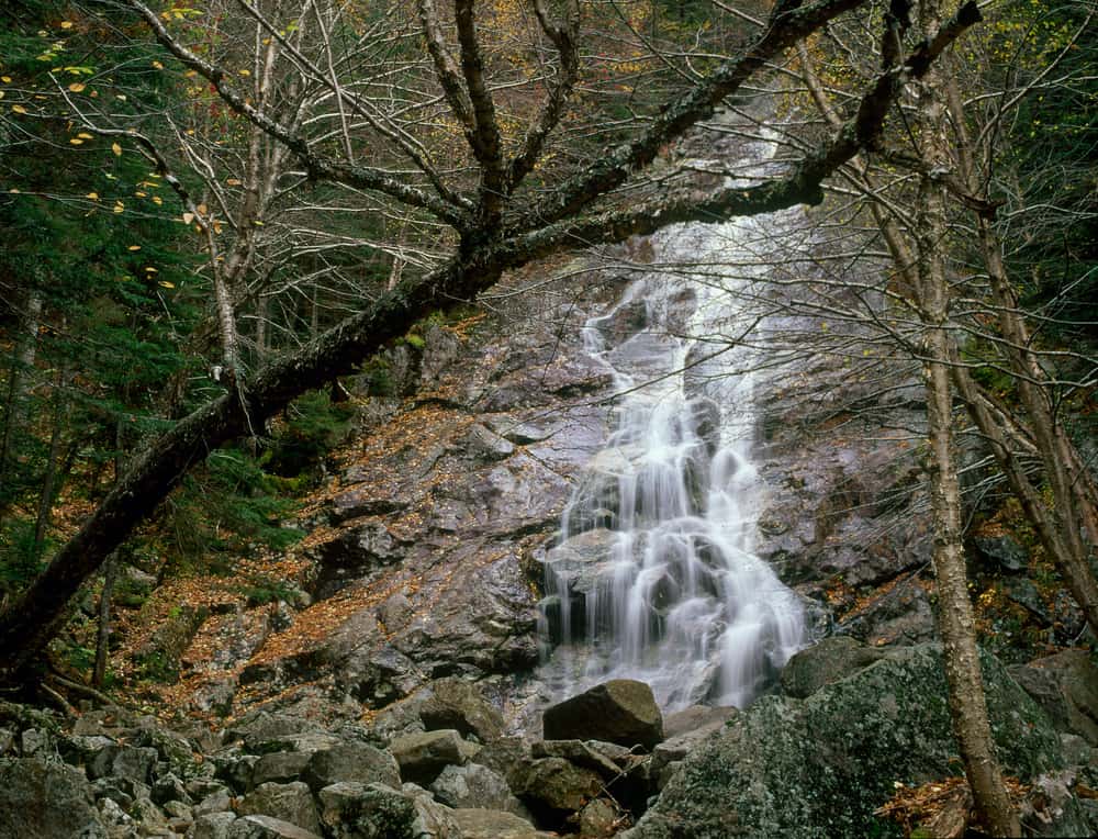 Water pouring over rocks in a moody setting with dead trees.