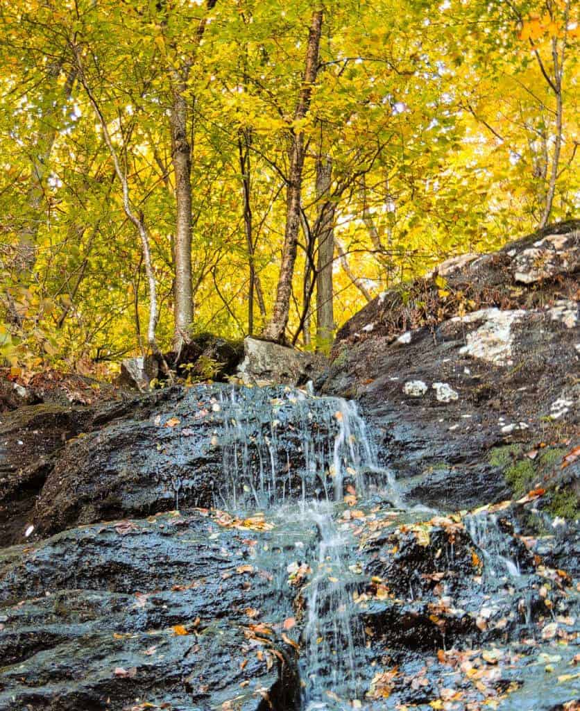 Waterfall seeping down rocky scenery surrounded by trees with bright yellow leaves.