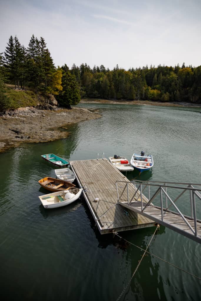 Dock surrounded by boats floating on the water. Trees surround the water.