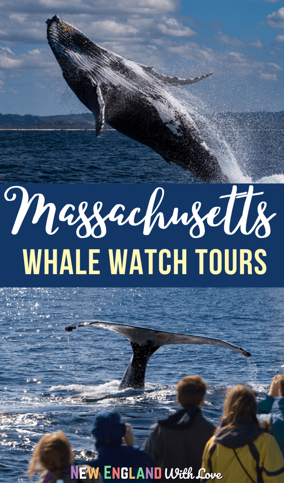 Best Whale Watching in Massachusetts: 12 Highly-Rated Tours | New