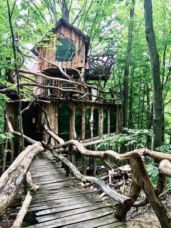 Gnarled wood tree house in the woods