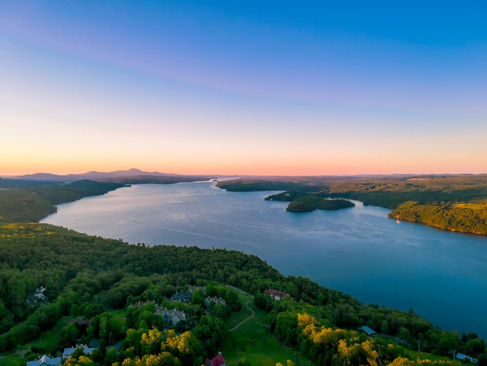 A hillside with trees and yellow flowers overlooking a body of water and a pink sunset