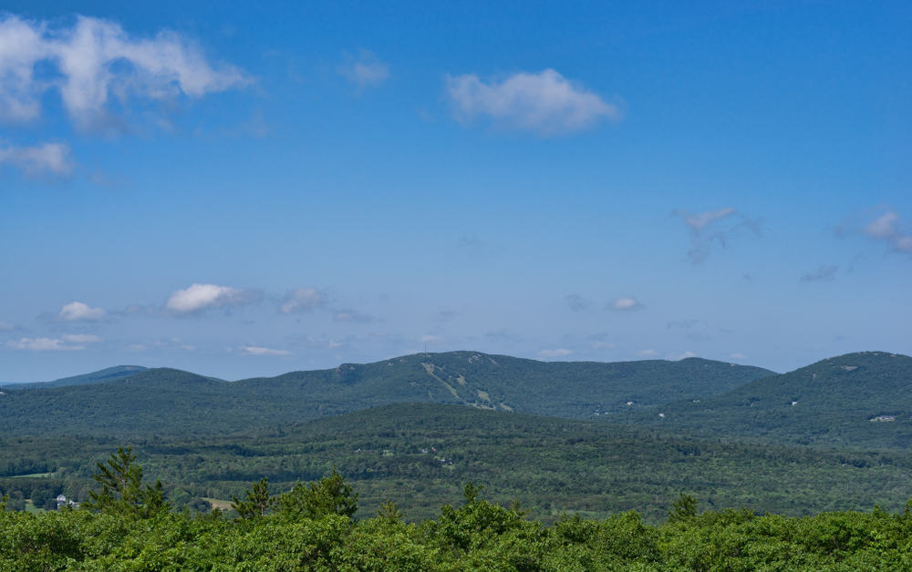 Green trees in the foreground with mountain ranges in the far distance on a clear day