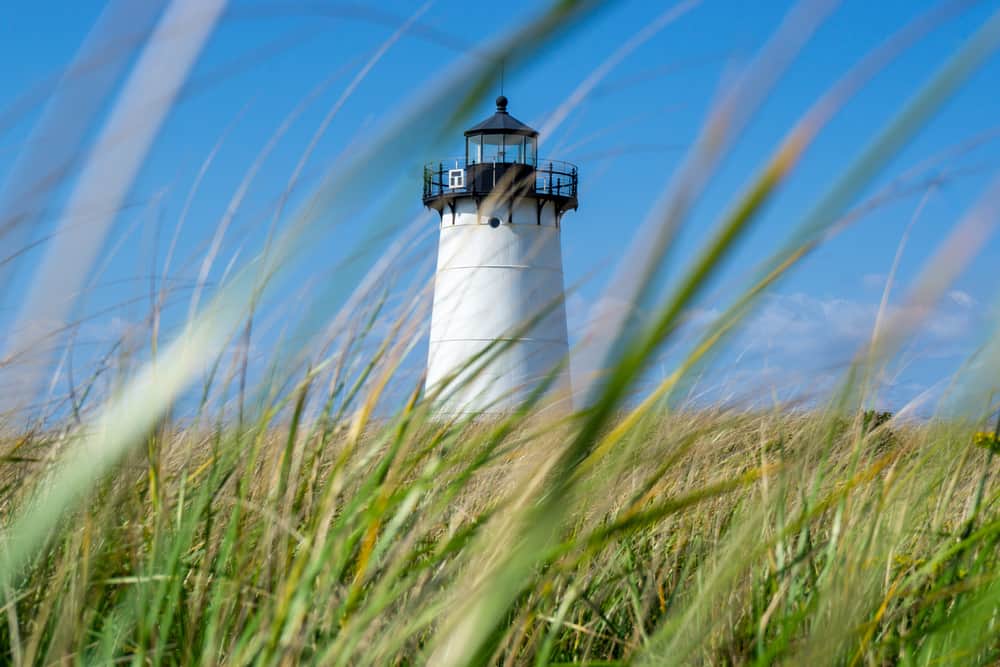 A lighthouse seen between blades of sea grass