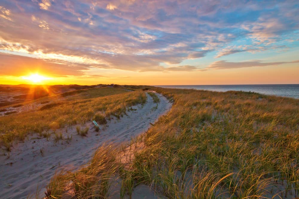 Aerial view of beach path and plants at sunset in one of the most beautiful places in Massachusetts