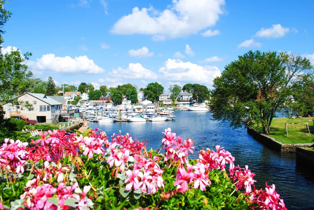Closeup of beautiful pink and white flowers with a body of water and boats in the distance on a clear day