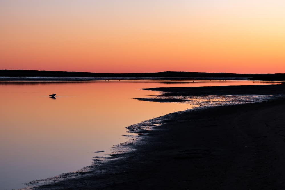 A sunset over a body of water