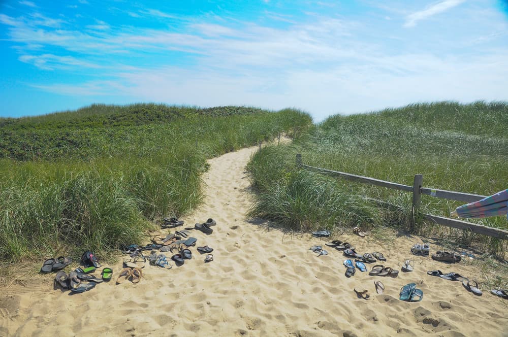 A sandy walkway through the dunes