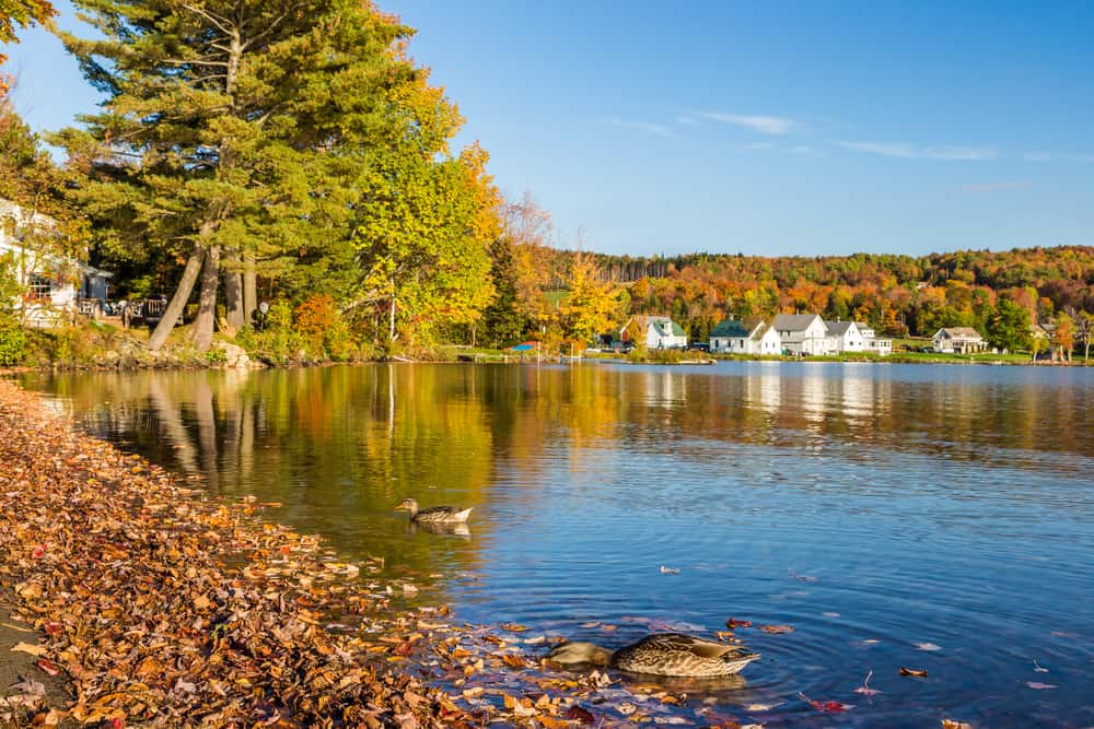 A body of water with trees and houses reflecting in the water