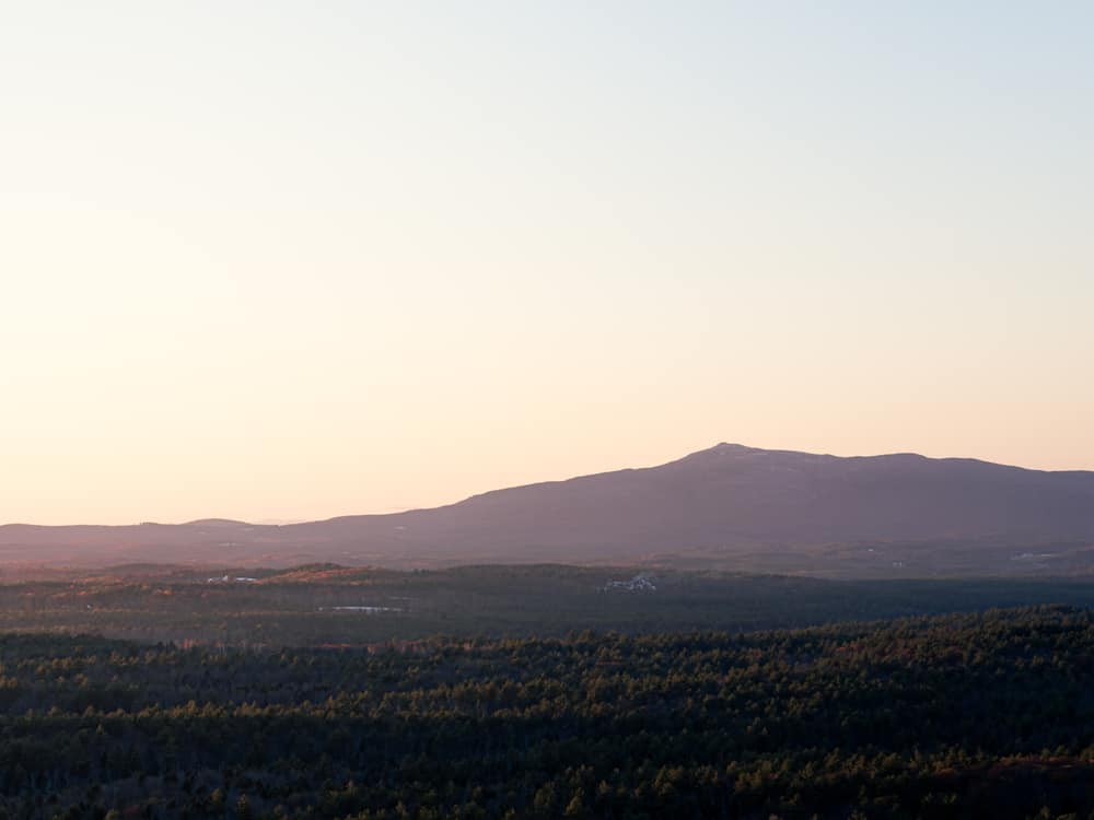 A field with a mountain in the background