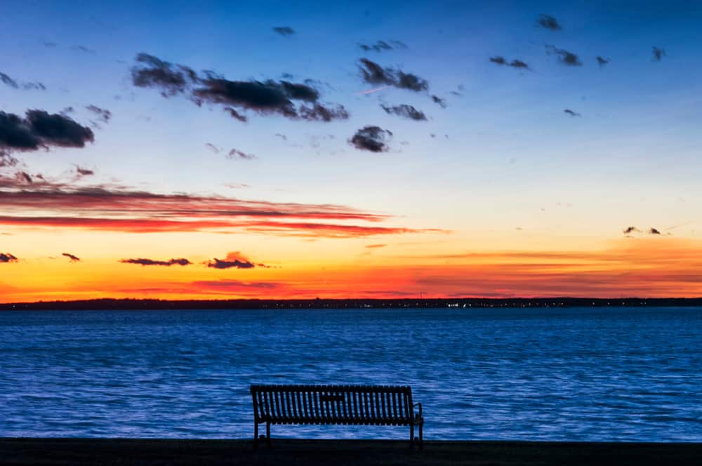 Park bench faces very blue water at sunset